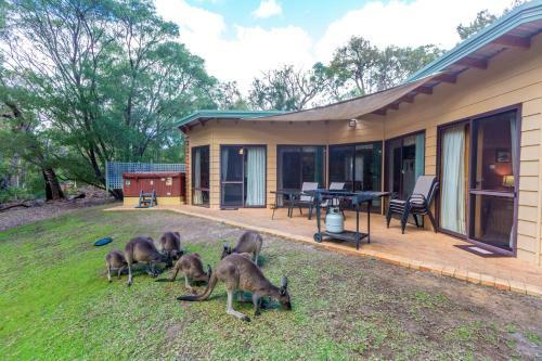Yelverton Brook Eco Spa Retreat & Conservation Sanctuary