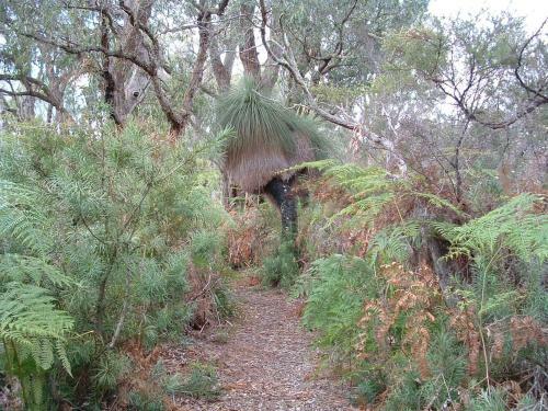 Yelverton Brook Eco Spa Retreat & Conservation Sanctuary