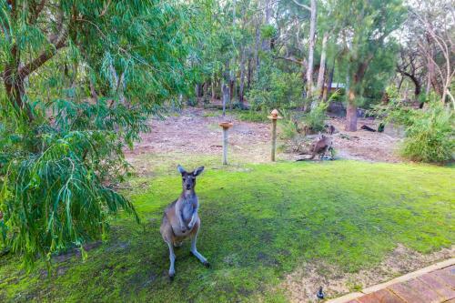Yelverton Brook Eco Spa Retreat & Conservation Sanctuary
