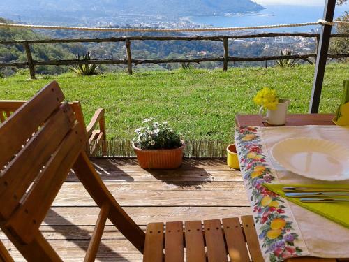 B&B Dri�s