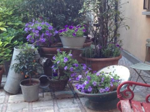 Apartamento Residence Perosi