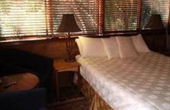 Forest Retreat B&B