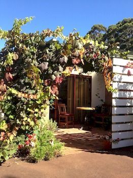 Forest Retreat B&B