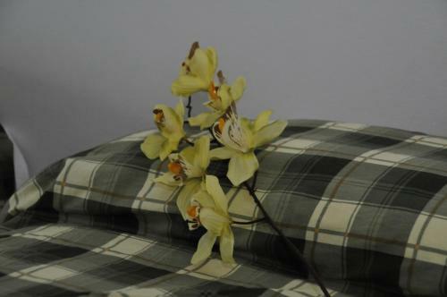 Bed & Breakfast Casablanca