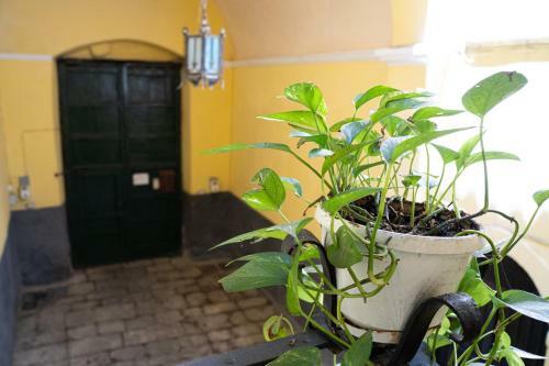 Apartamento Palazzo Tranfo Al Duomo Accommodation