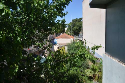 Pinsker Garden Apartment