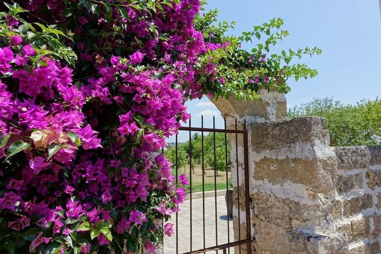 Agroturismo Masseria Carignani