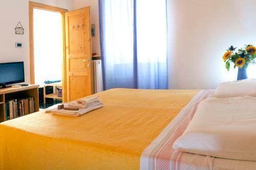 B&B Petra