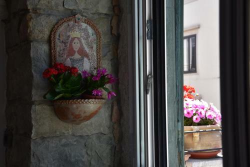 B&B Petra
