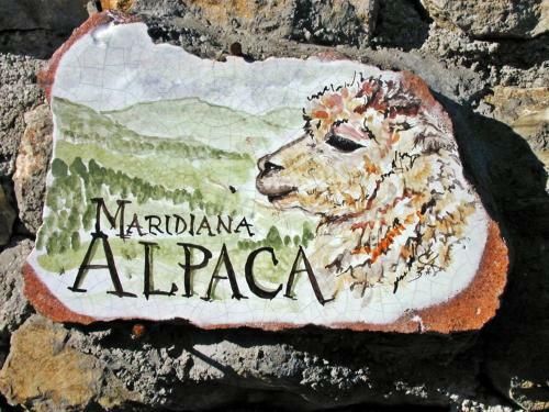 Agroturismo Maridiana Alpaca