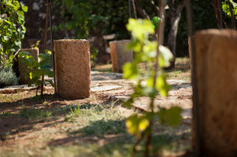Bed & Breakfast Badia Del Casale