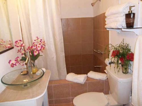 Apartamento Tobago Tranquil Apt. Guest House