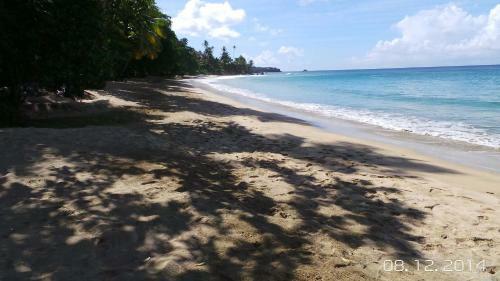 Apartamento Tobago Tranquil Apt. Guest House