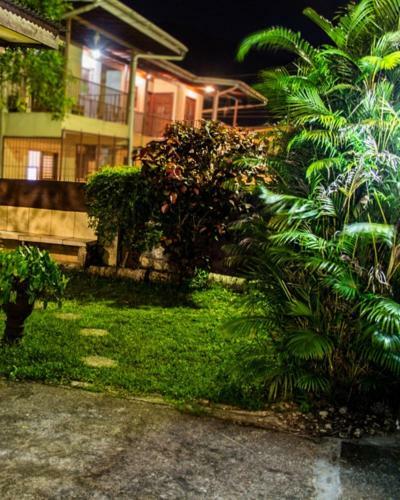 Hostal Tonys Guest House