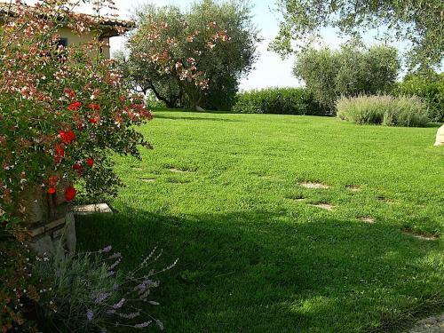 Bed And Breakfast Ellera Viterbo