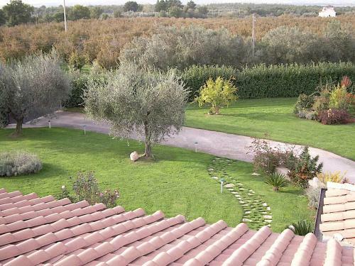 Bed And Breakfast Ellera Viterbo