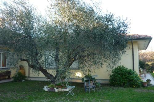 B&B Alle Terme