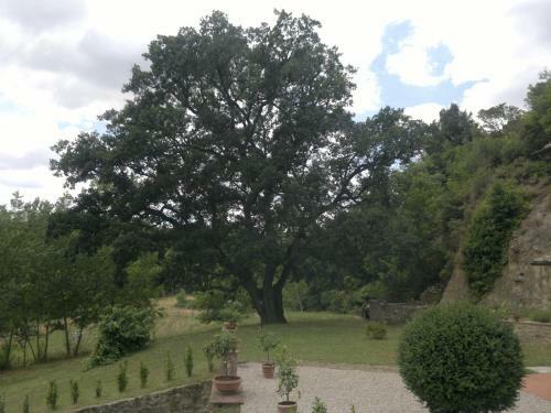 Bed & Breakfast Villa Loghino