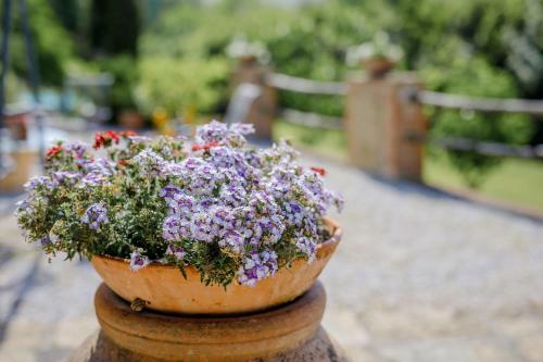Bed & Breakfast Villa Loghino