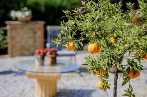Bed & Breakfast Villa Loghino