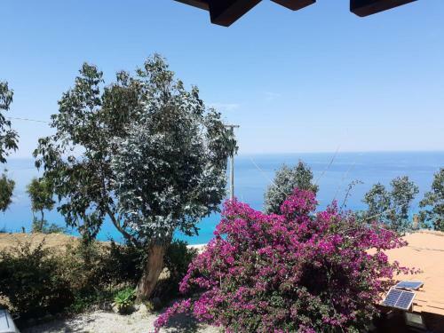 Apartamento Villa Panorama