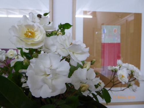 Bed & Breakfast La Casa Del Giardiniere