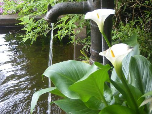 Bed & Breakfast La Casa Del Giardiniere