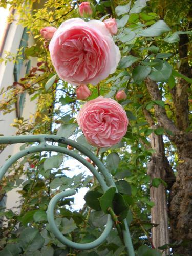 Bed & Breakfast La Casa Del Giardiniere
