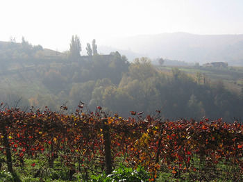 Bed & Breakfast Agriturismo Il Gioco Dell'oca