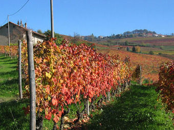 Bed & Breakfast Agriturismo Il Gioco Dell'oca
