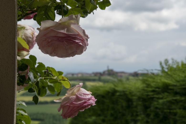 Bed & Breakfast C� Alfieri Al 30