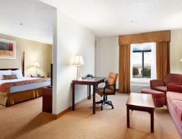 Hotel Wingate Inn - Dfw North