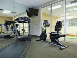Hotel Wingate Inn - Dfw North