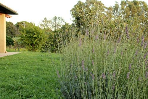 Bed & Breakfast Al Vecchio Fontanile