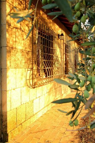 Bed & Breakfast Al Vecchio Fontanile