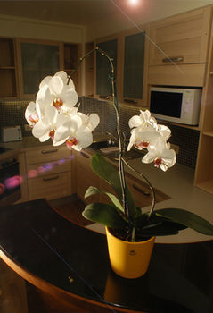 Hotel Appartements Tritscher
