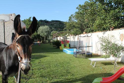 Apartamento Casa Vacanze Borgo Borghese