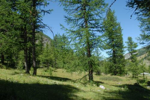 Monchaletsestriere
