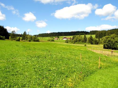 Apartamento Ferienwohnung Schwarzwaldhof