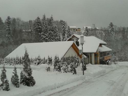 Dzt-schwarzwaldhotel Garni