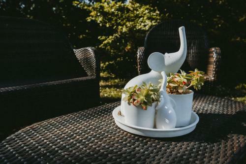 Bed & Breakfast Alle Pendici Del Conero