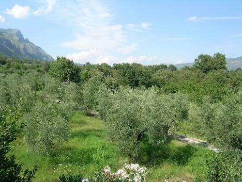Apartment Welcome To Campolongo