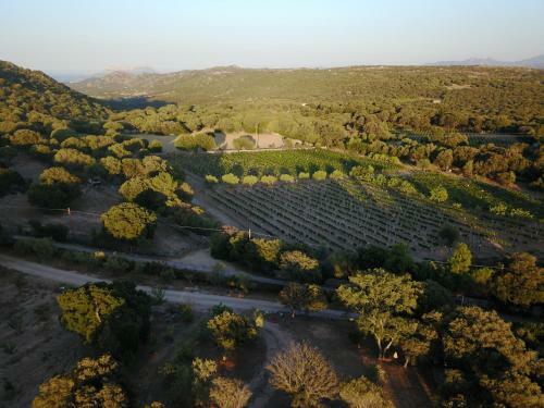 Apartamento Villa Smeralda