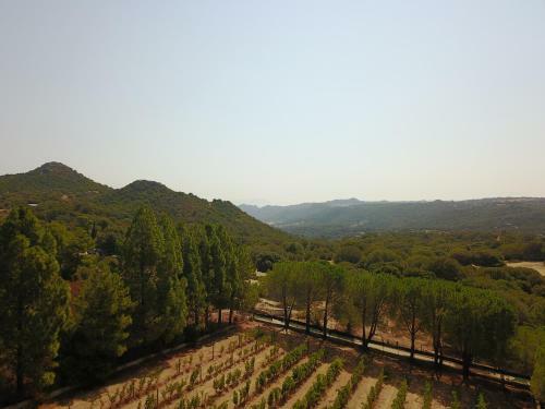 Apartamento Villa Smeralda