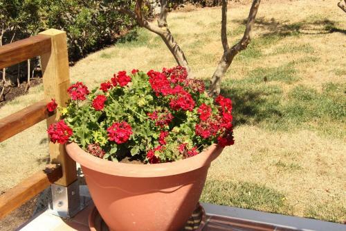 Apartamento Villa Smeralda