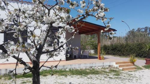 B&B Arcafelice