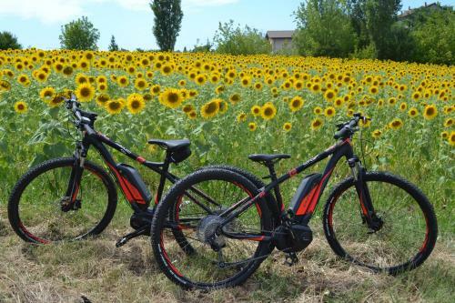 Agroturismo Cascina Trapella