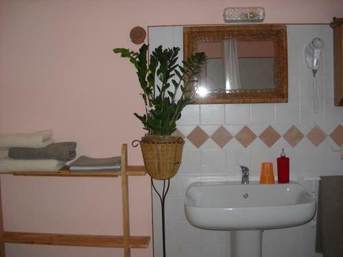 B&B Artemia