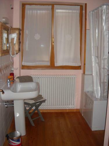 B&B Artemia
