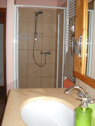 B&B Artemia